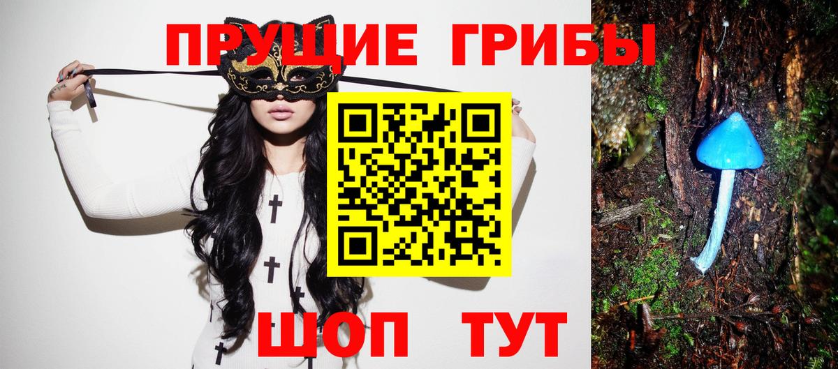 Псилоцибиновые грибы GOLDEN TEACHER  Вход с VPN  Кувандык 