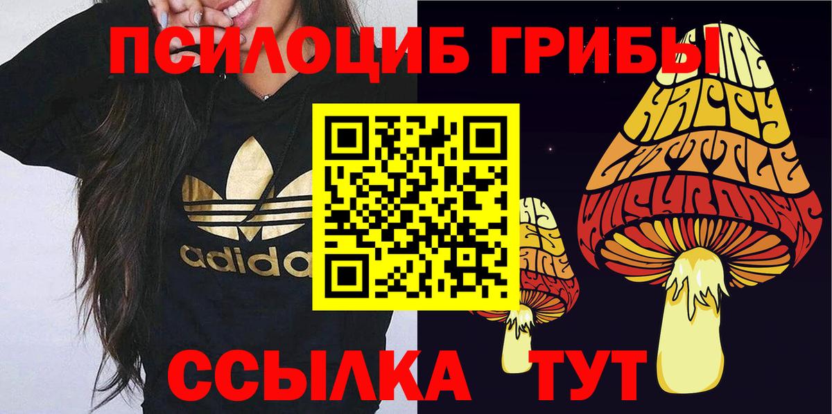 Галлюциногенные грибы Magic Shrooms Кувандык